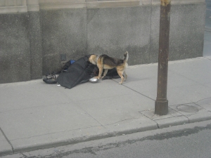 Homeless in Toronto