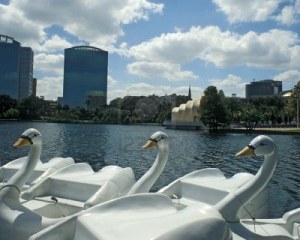 11593514-swan-boats-wait-at-dock-on-lake-eola-orlando-florida-band-shell-and-skyline-in-background